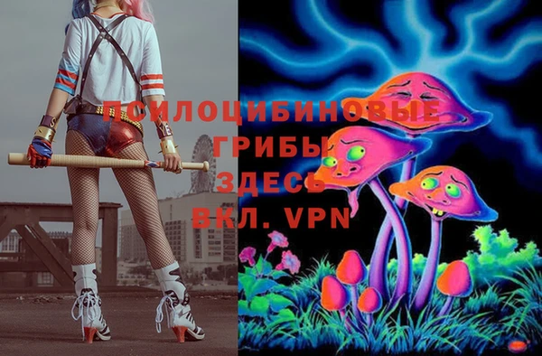таблы Козловка
