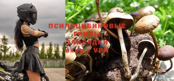 mdpv Козельск