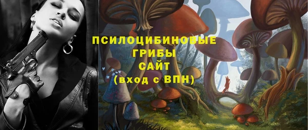 таблы Козловка