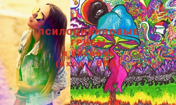 таблы Козловка